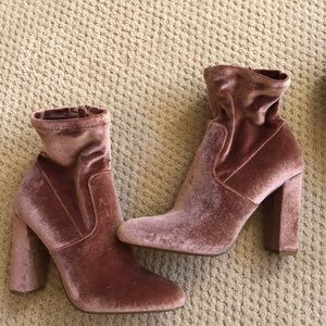 Velvet booties Steve Madden